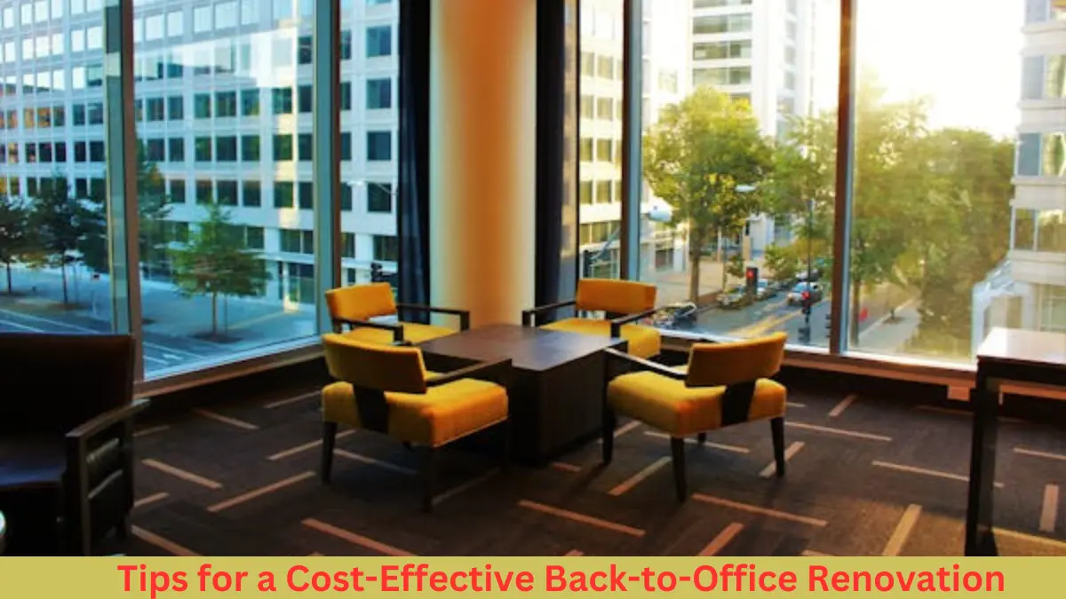 Tips for a Cost-Effective Back-to-Office Renovation