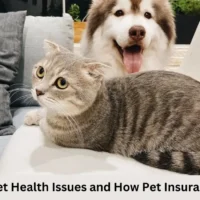 treat pet health problems