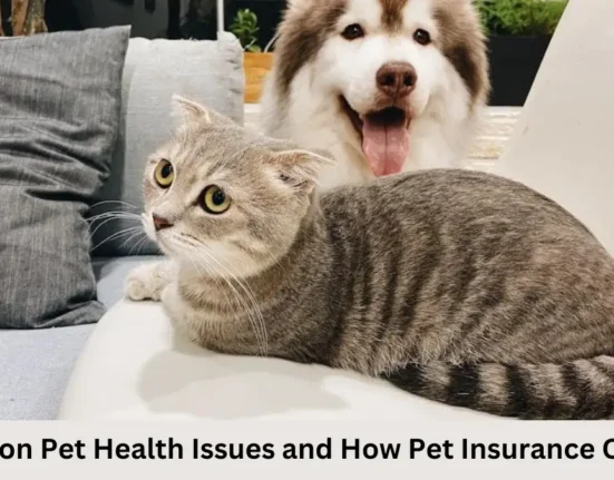 treat pet health problems